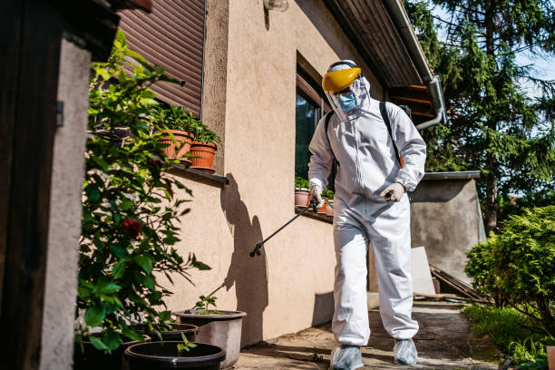 Best Mosquito Control Services  in Lomita, CA