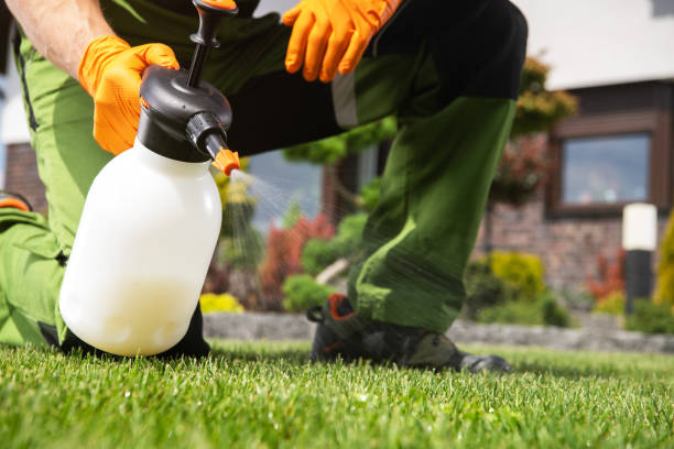 Best Wildlife Control Services  in Lomita, CA