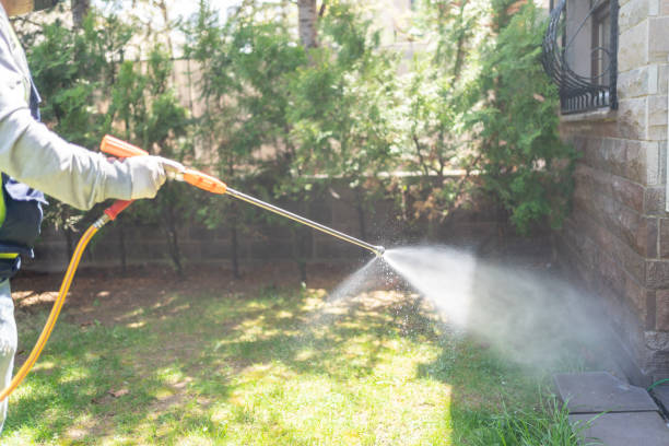 Best Local Pest Control Services  in Lomita, CA