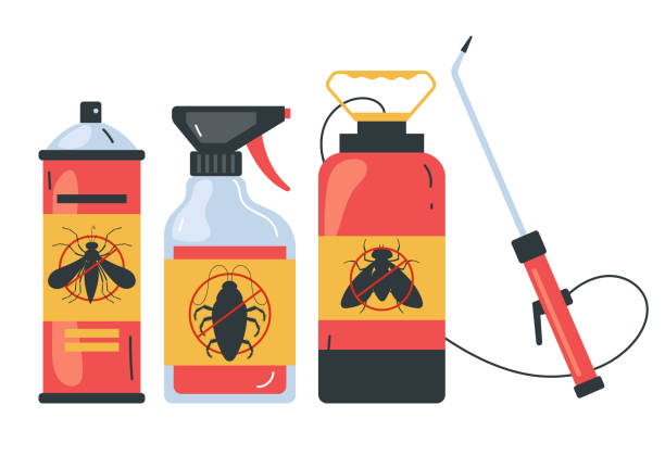 Best Flea Control Services  in Lomita, CA