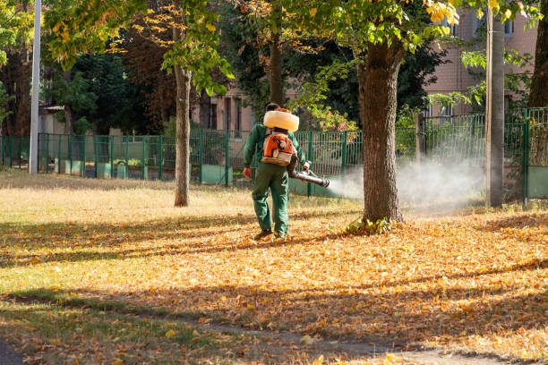 Best Pest Control Near Me in Lomita, CA