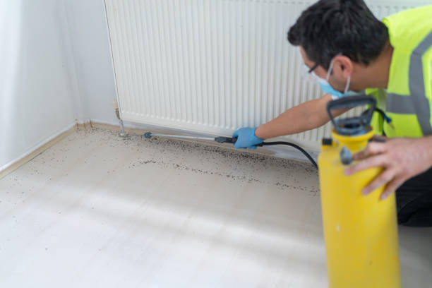 Best Cockroach Control Services  in Lomita, CA